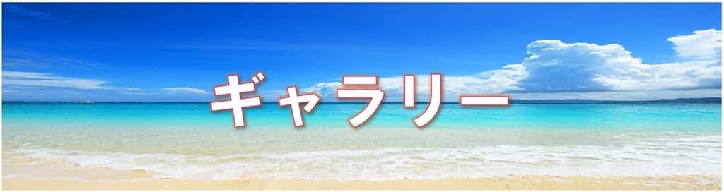 ギャラリー