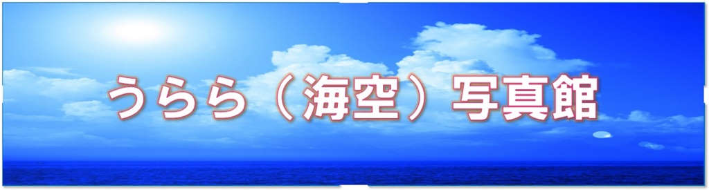 就労継続支援B型事業所 うらら(海空) ギャラリー